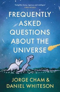 bokomslag Frequently Asked Questions About the Universe