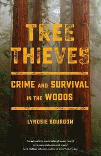 bokomslag Tree Thieves