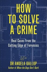 bokomslag How to Solve a Crime