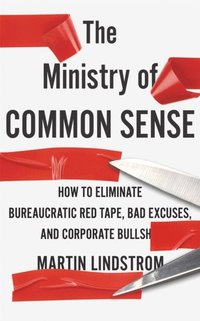 bokomslag The Ministry of Common Sense