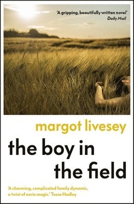 bokomslag Boy in the Field