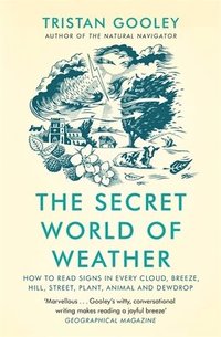 bokomslag The Secret World of Weather