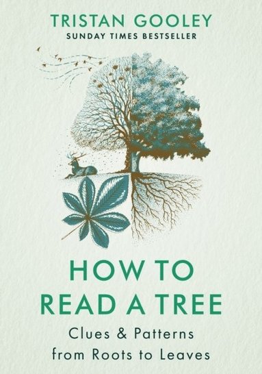 bokomslag How to Read a Tree