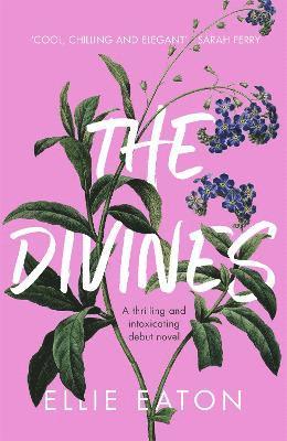 The Divines 1