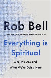 bokomslag Everything is Spiritual
