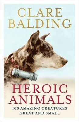 Clare Balding - Heroic Animals, Häftad