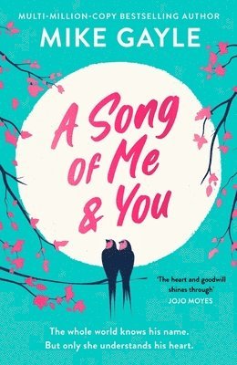 Mike Gayle - Song of Me and You, Häftad