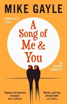 Mike Gayle - Song of Me and You, Inbunden