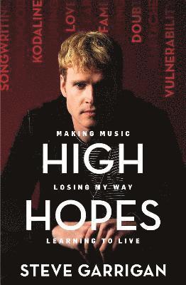 Steve Garrigan - High Hopes, Häftad