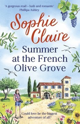 Summer at the French Olive Grove 1