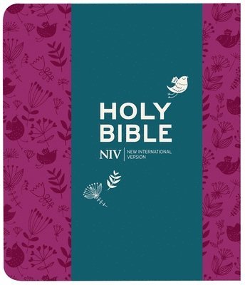 NIV Journalling Plum Soft-tone Bible with Clasp 1