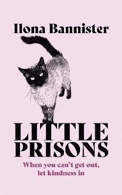 Little Prisons 1
