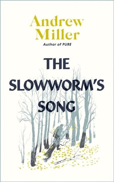 bokomslag The Slowworm's Song