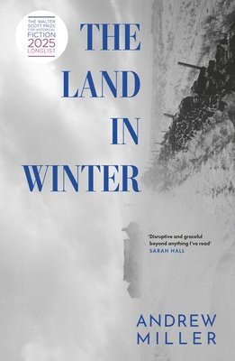 Land in Winter 1