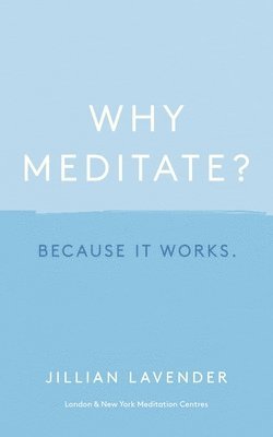 bokomslag Why Meditate? Because it Works