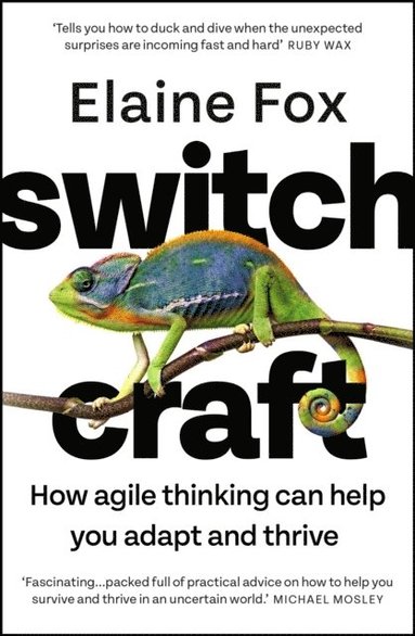 Elaine Fox - Switchcraft, Häftad