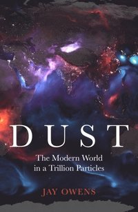 bokomslag Dust