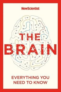 bokomslag Brain