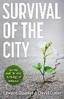bokomslag Survival of the City