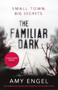 bokomslag The Familiar Dark