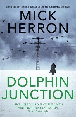 Dolphin Junction 1