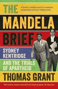 bokomslag The Mandela Brief