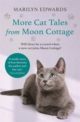 bokomslag More Cat Tales From Moon Cottage