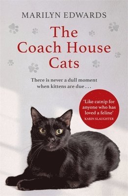 The Coach House Cats 1