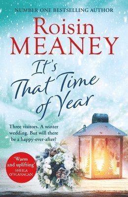 Roisin Meaney - It's That Time of Year, Häftad