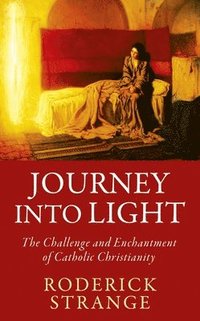 bokomslag Journey into Light