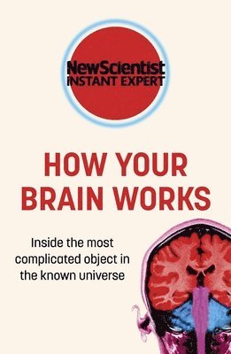 How Your Brain Works 1