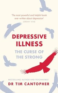 bokomslag Depressive Illness