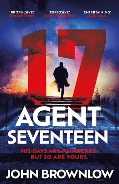 bokomslag Agent Seventeen