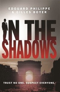 bokomslag In The Shadows