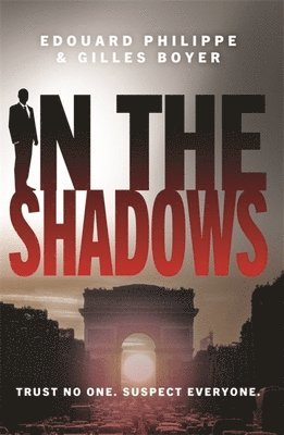 bokomslag In The Shadows