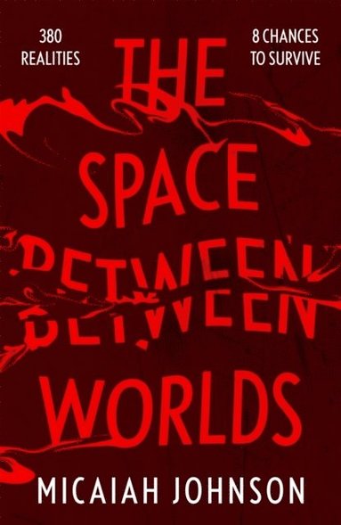 bokomslag The Space Between Worlds
