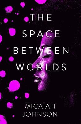 The Space Between Worlds 1