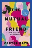 bokomslag The Mutual Friend