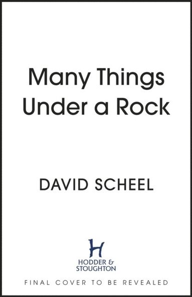 bokomslag Many Things Under A Rock