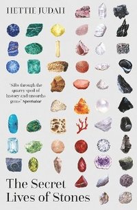 bokomslag The Secret Lives of Stones