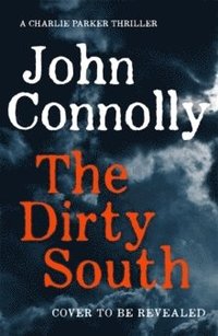 bokomslag The Dirty South