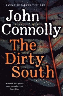 bokomslag The Dirty South