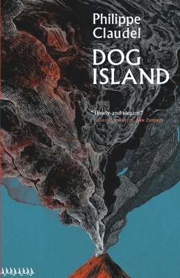 Dog Island 1