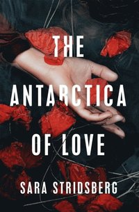 bokomslag The Antarctica of Love
