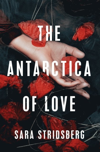 The Antarctica of Love 1