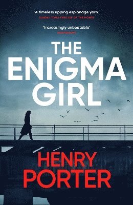 The Enigma Girl 1