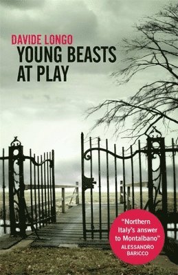 Davide Longo - Young Beasts at Play, Häftad