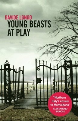 Young Beasts at Play 1