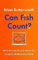 bokomslag Can Fish Count?