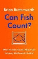 Can Fish Count? 1